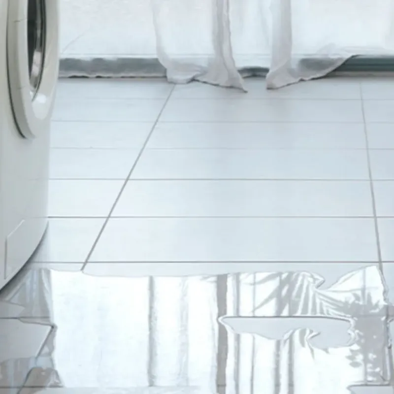 Appliance Leak Cleanup in Three Rivers, TX