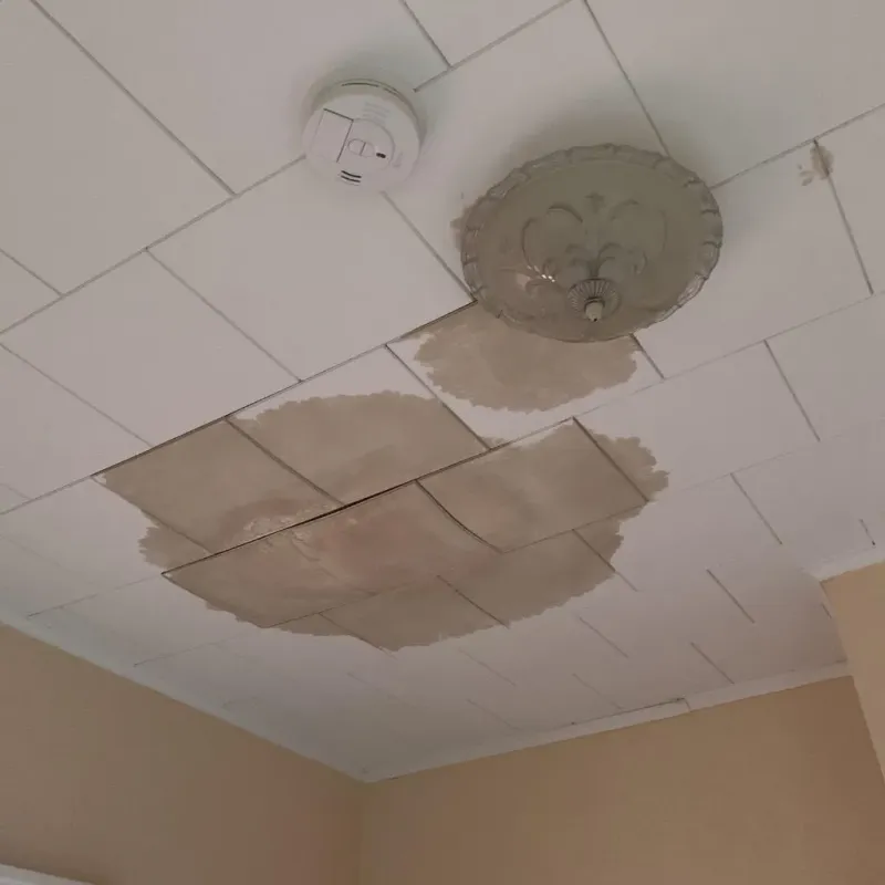Ceiling Water Damage Repair in Three Rivers, TX