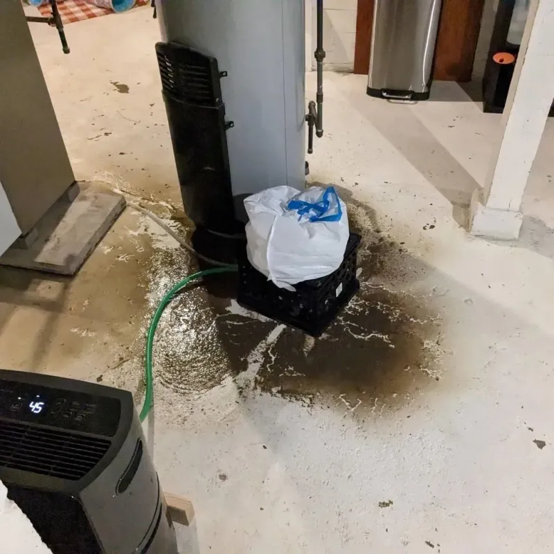Sewage Backup Cleanup Service in Three Rivers, TX